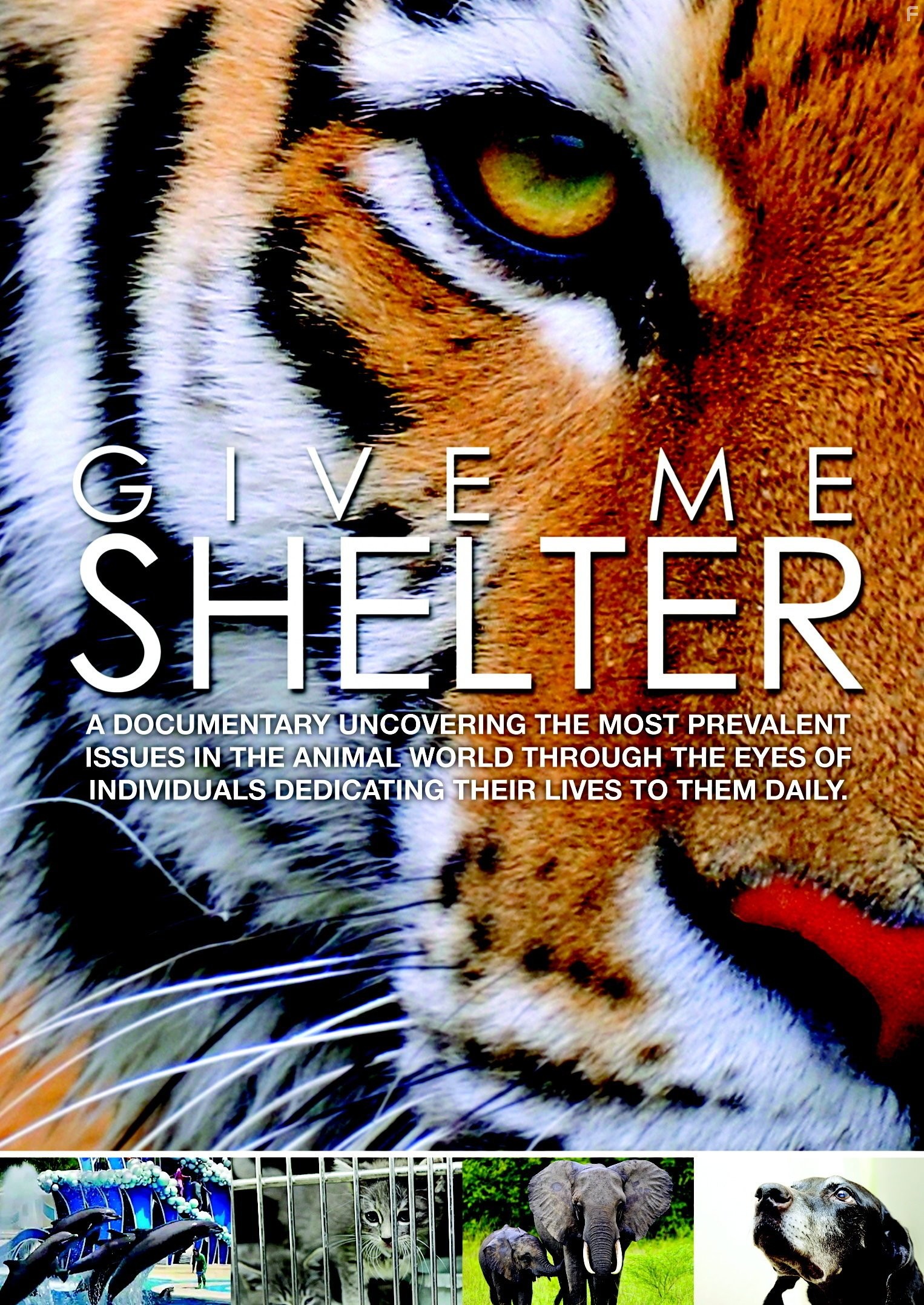 Give Me Shelter (2014)