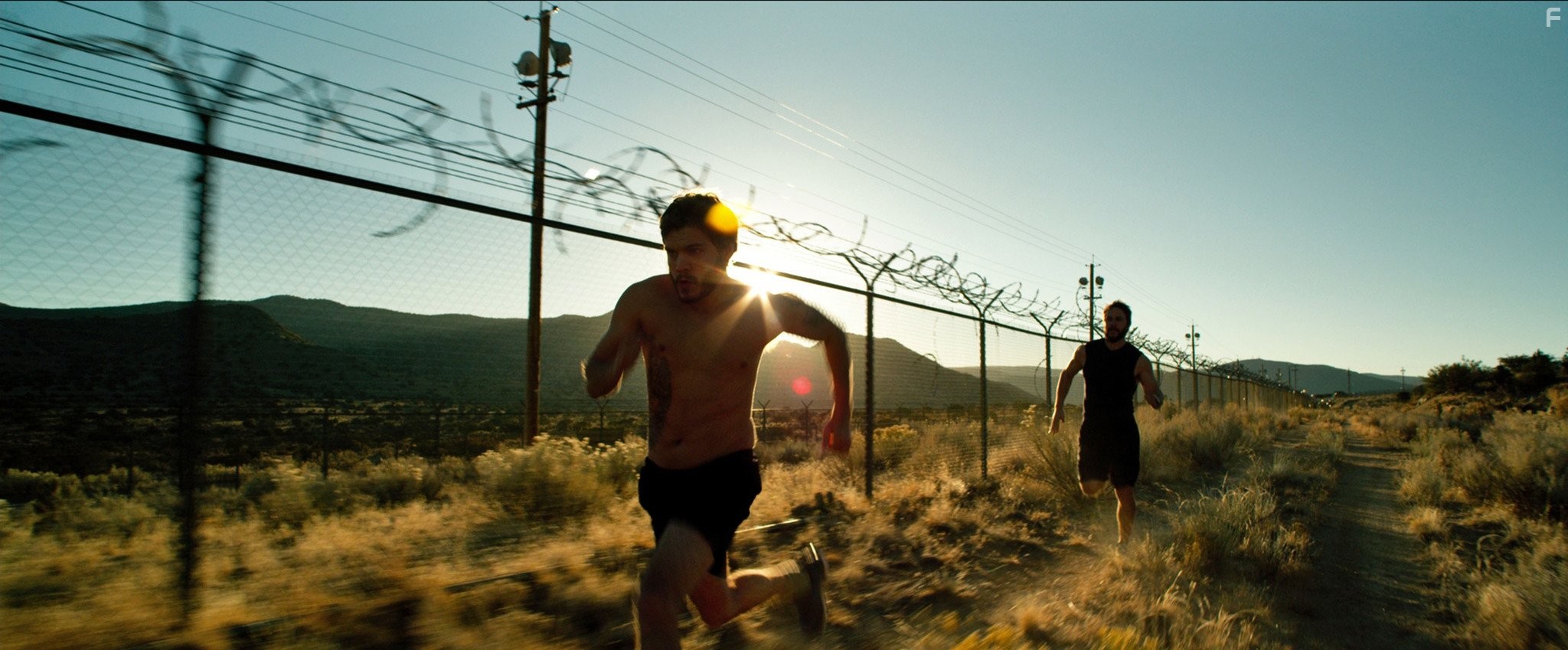 Уцелевший (2013)