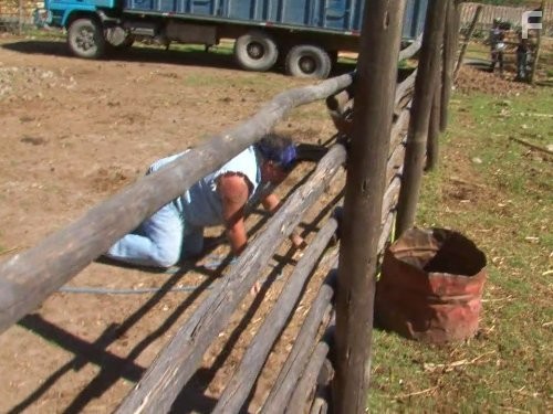 IRT: Deadliest Roads (2010)