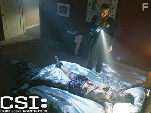 Elisabeth Harnois in C.S.I. Место преступления (2000)