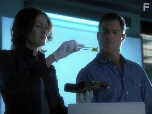 George Eads and Jorja Fox in C.S.I. Место преступления (2000)