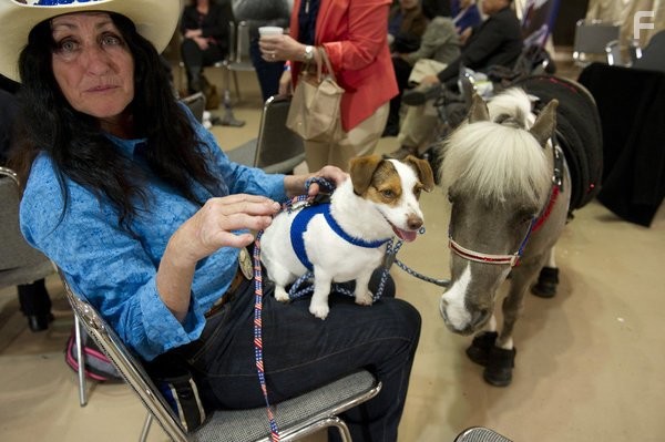 Америка ищет таланты (2006)