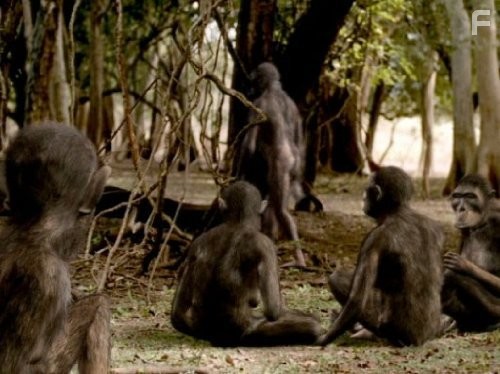 Прогулки с чудовищами (2001)