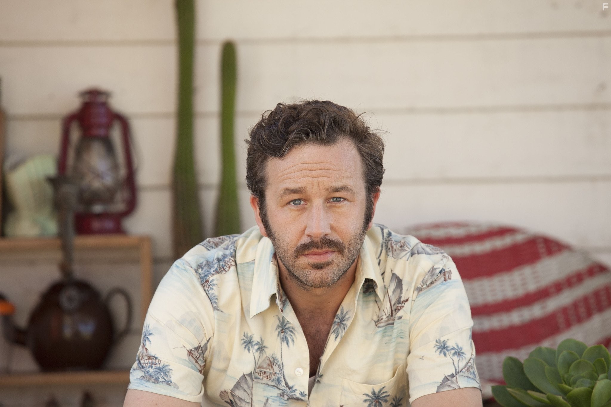 Chris O'Dowd in Сапфиры (2012)