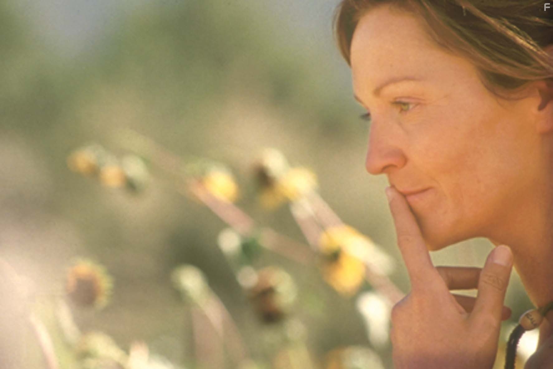 Joan Allen in Вне карты (2003)