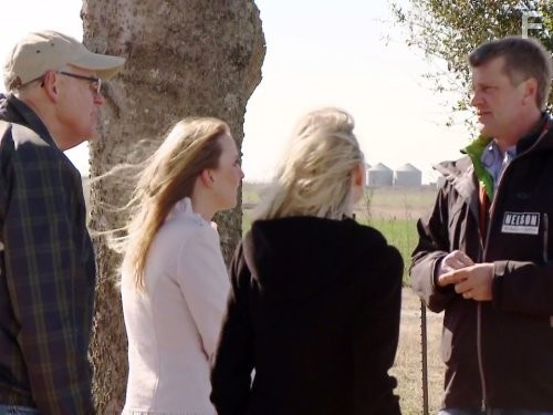 Treehouse Masters (2013)