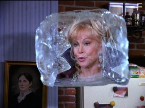 Barbara Eden in Сабрина - маленькая ведьма (1996)