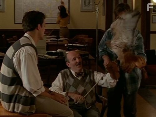 The Hardy Boys (1995)