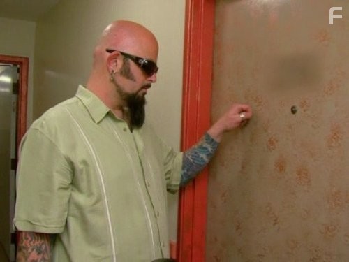 My Cat from Hell (2011)