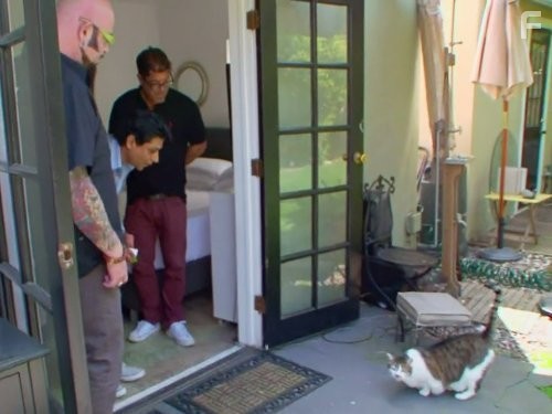 My Cat from Hell (2011)