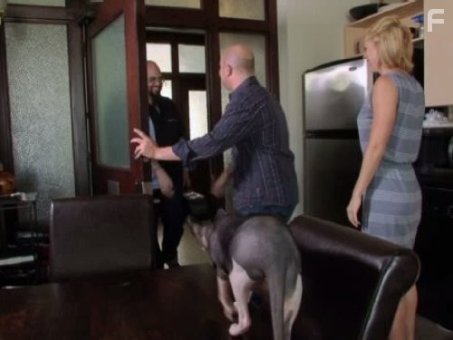 My Cat from Hell (2011)