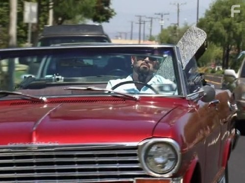 My Cat from Hell (2011)