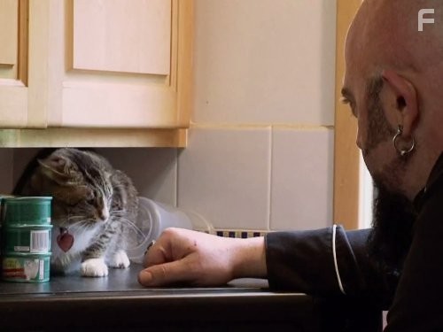 My Cat from Hell (2011)