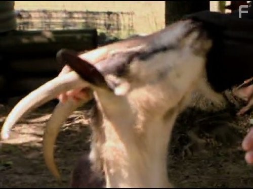 Кошмары на кухне (2007)