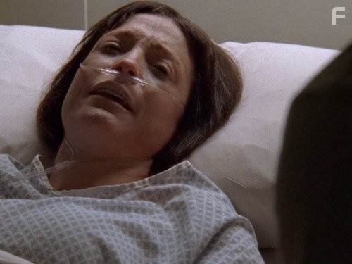 Дикий огонь (2005)