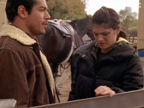 Дикий огонь (2005)