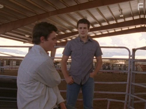 Дикий огонь (2005)