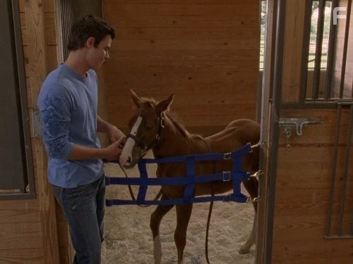 Дикий огонь (2005)