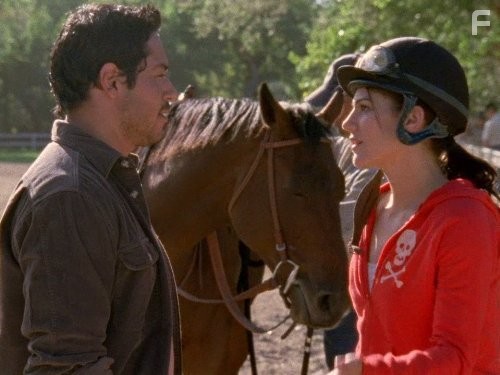 Дикий огонь (2005)