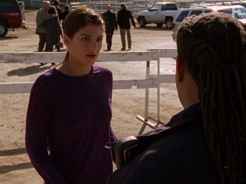 Дикий огонь (2005)