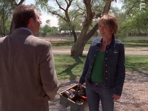 Дикий огонь (2005)