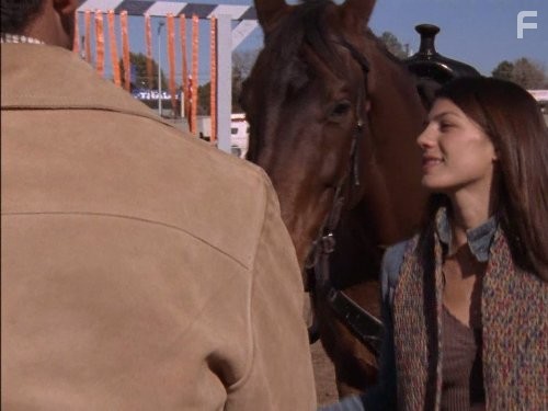 Дикий огонь (2005)