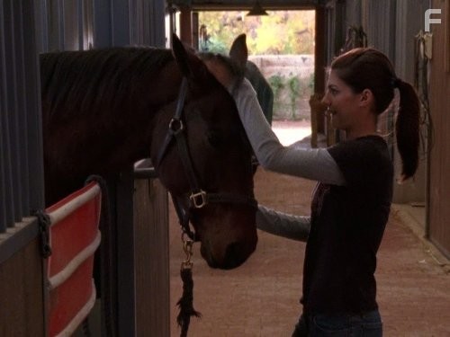 Дикий огонь (2005)