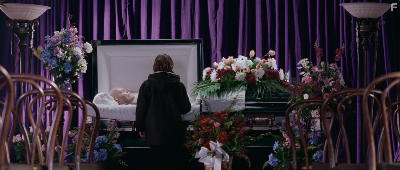 Жизнь за гранью (2009)