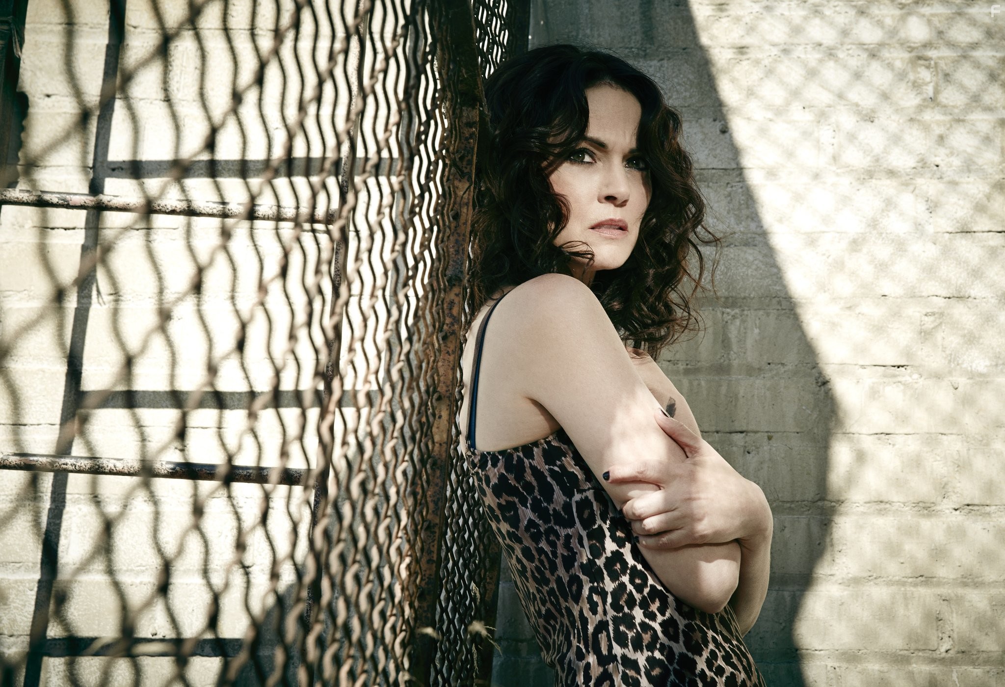 Joanna Going in Королевство (2014)