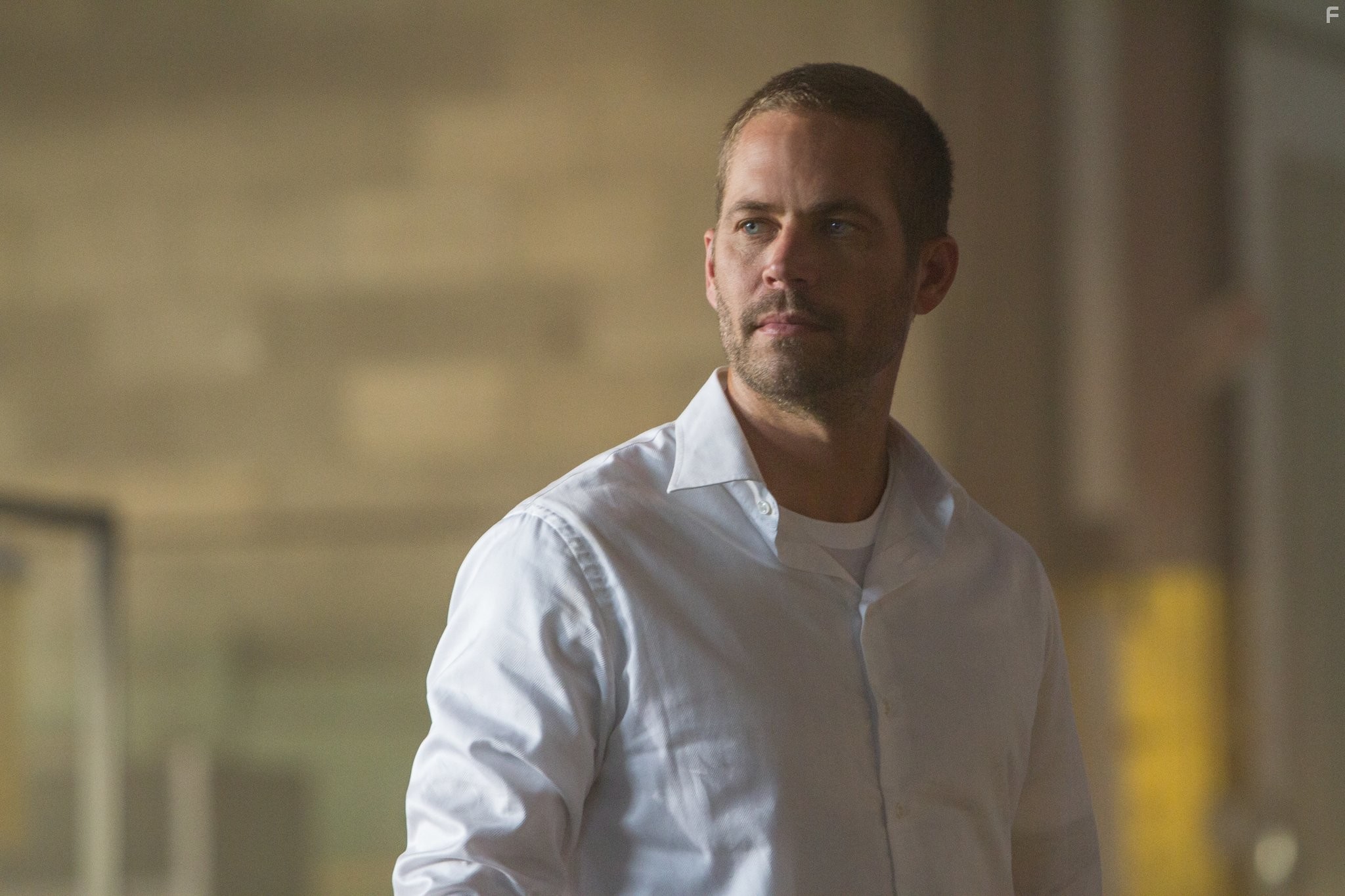 Paul Walker in Форсаж 7 (2015)