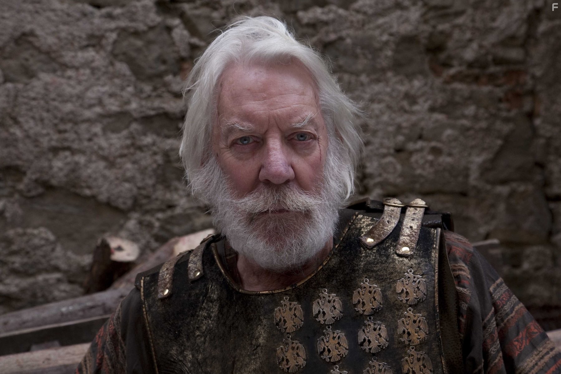 Donald Sutherland in Столпы Земли (2010)