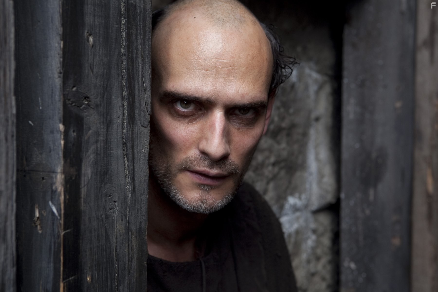 Anatole Taubman in Столпы Земли (2010)