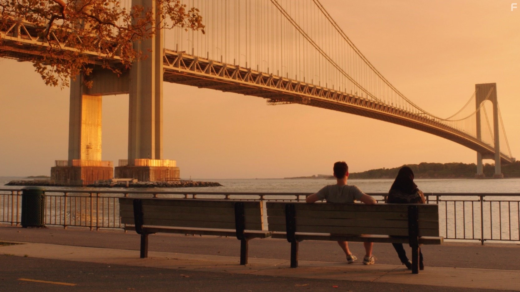 Martin Starr and Dina Shihabi in Амира и Сэм (2014)