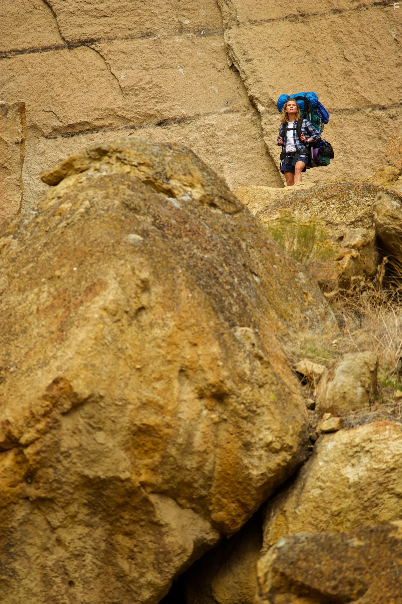 Reese Witherspoon in Дикая (2014)