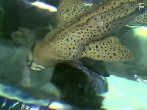 Prototype This! (2008)