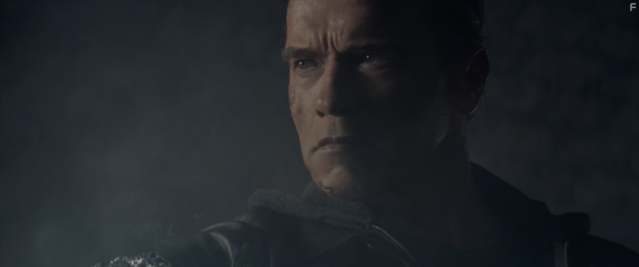 Arnold Schwarzenegger in Терминатор: Генезис (2015)