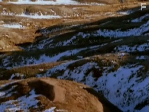 The Future Is Wild (2003)