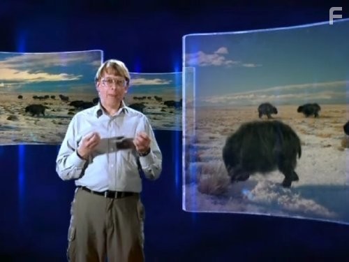 The Future Is Wild (2003)