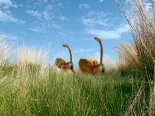 The Future Is Wild (2003)