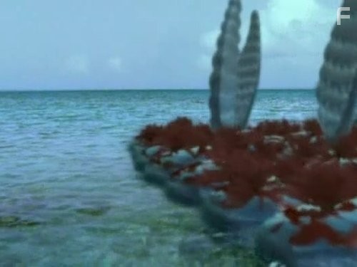 The Future Is Wild (2003)