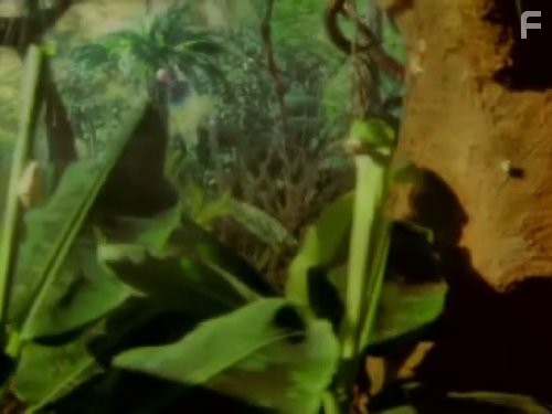 The Future Is Wild (2003)