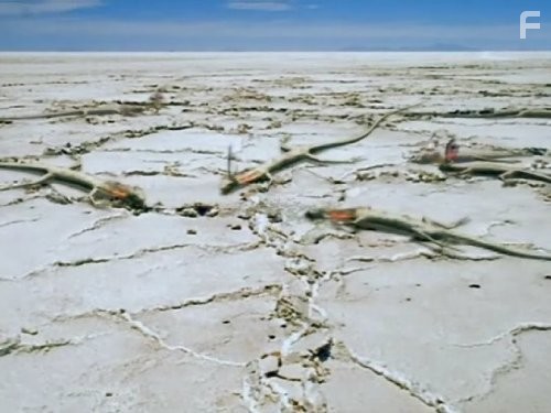 The Future Is Wild (2003)