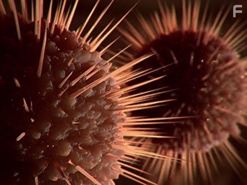 Monsters Inside Me (2009)