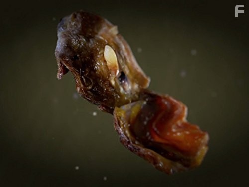 Monsters Inside Me (2009)