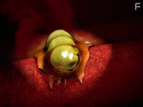 Monsters Inside Me (2009)