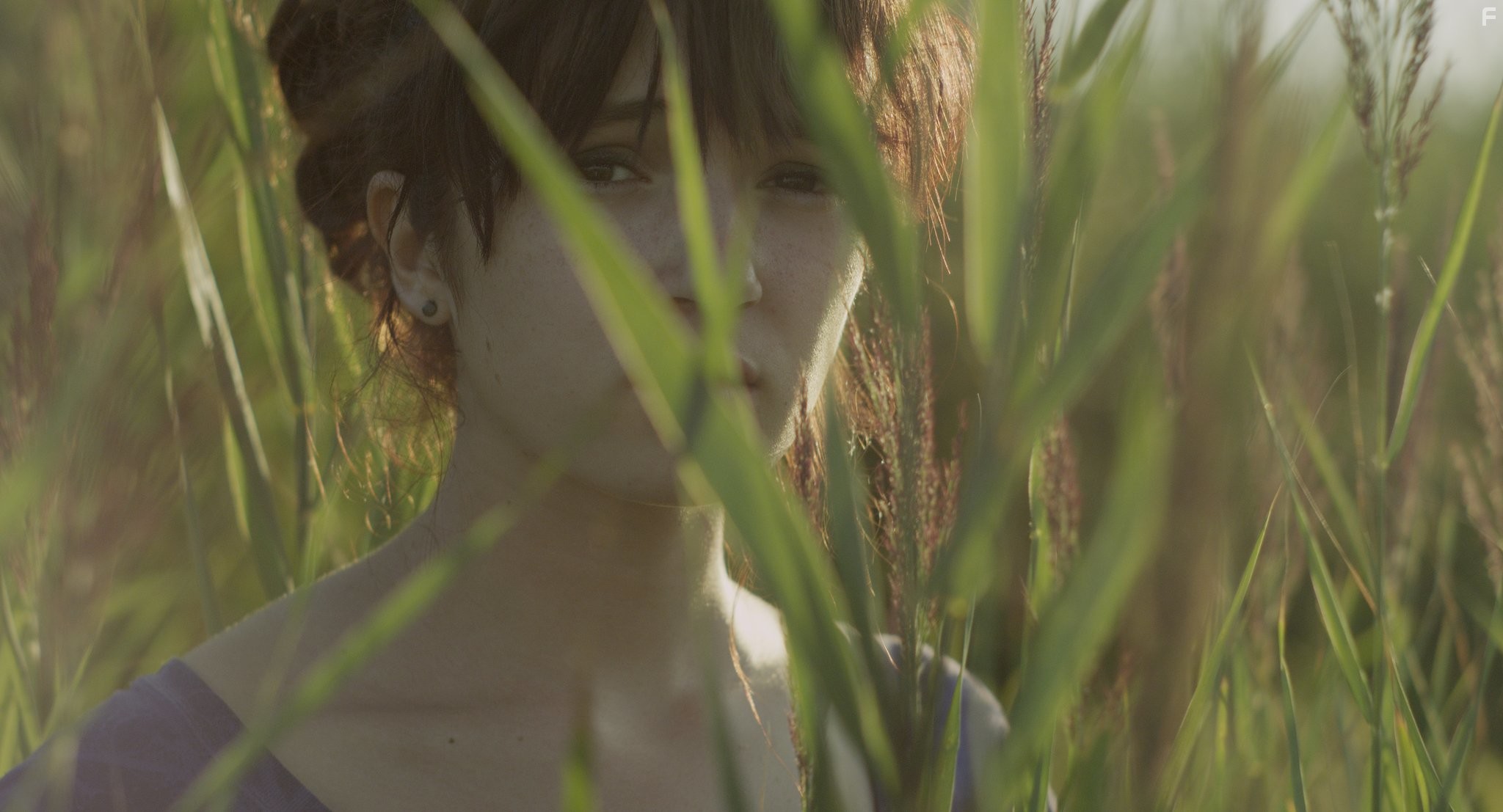 Похоже на любовь