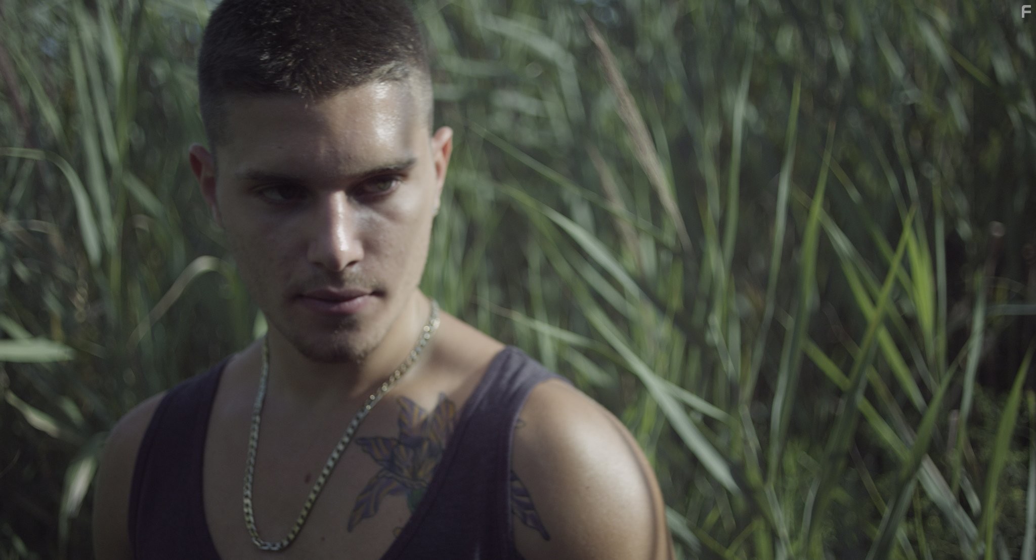 Ronen Rubinstein in Похоже на любовь (2013)