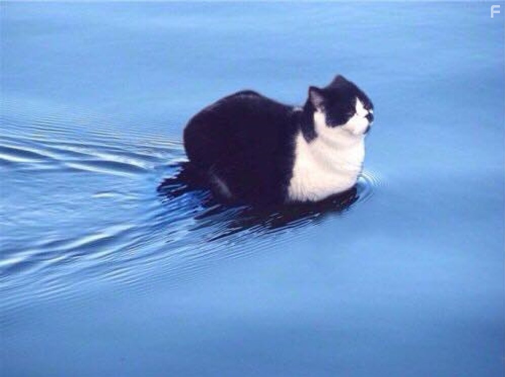 Прощай, речь 3D (2014)