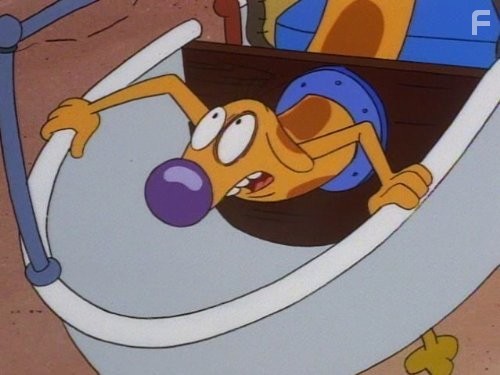 КотоПёс (1998)