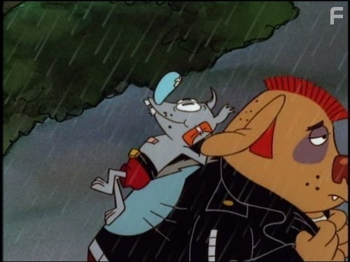 КотоПёс (1998)